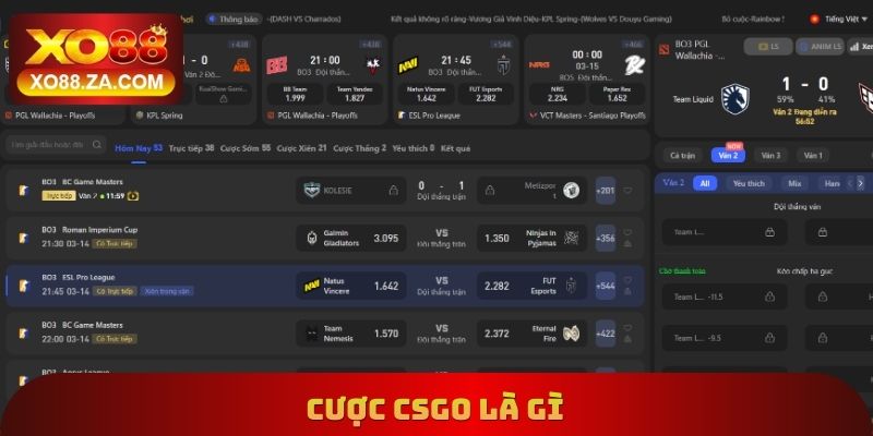 Cược CSGO Là Gì
