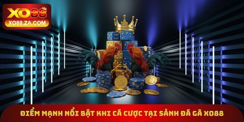 Điểm mạnh nổi bật khi cá cược tại sảnh đá gà Xo88