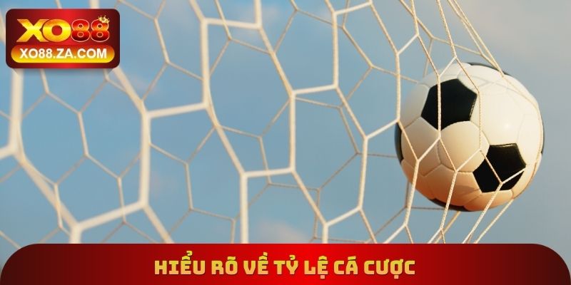 Hiểu rõ về tỷ lệ cá cược