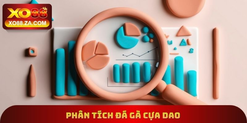 Phân tích đá gà cựa dao